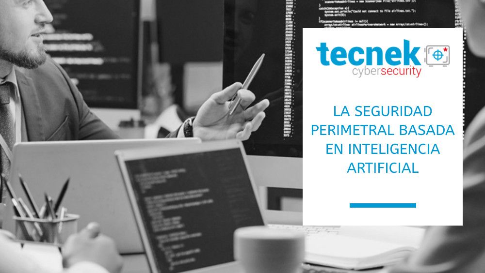 La seguridad perimetral