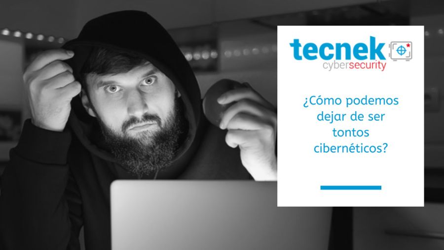 Cmo podemos dejar de ser tontos cibernticos