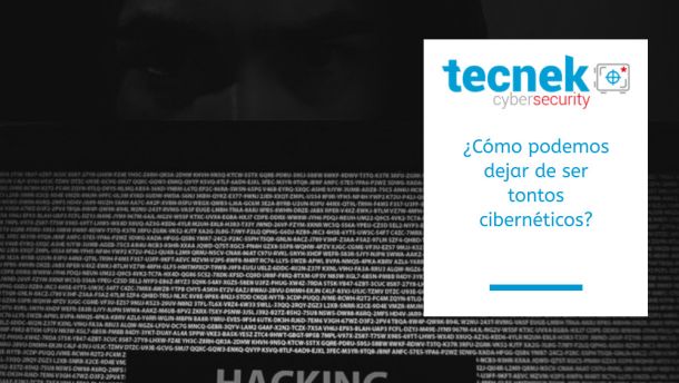 Cmo podemos dejar de ser tontos cibernticos