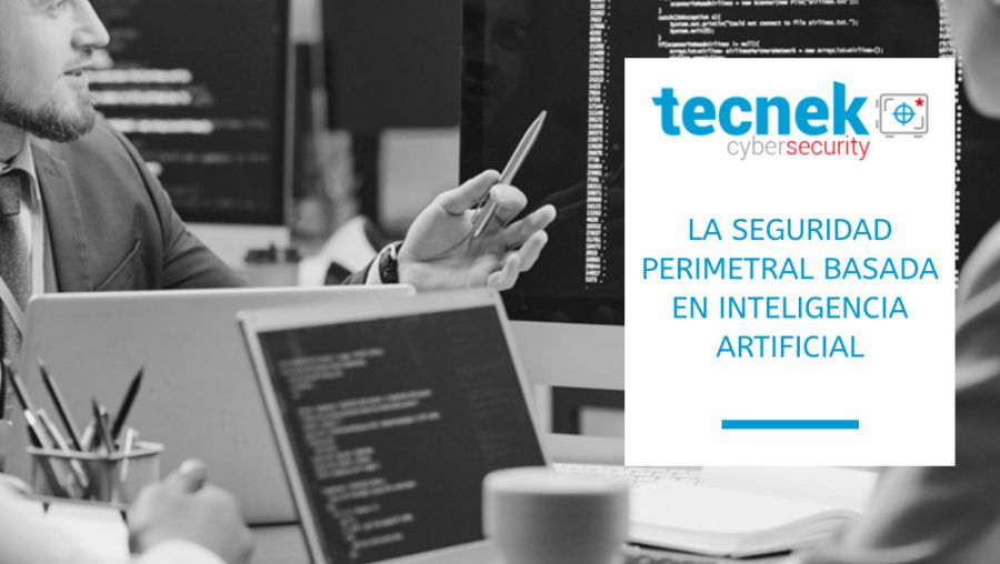 La seguridad perimetral